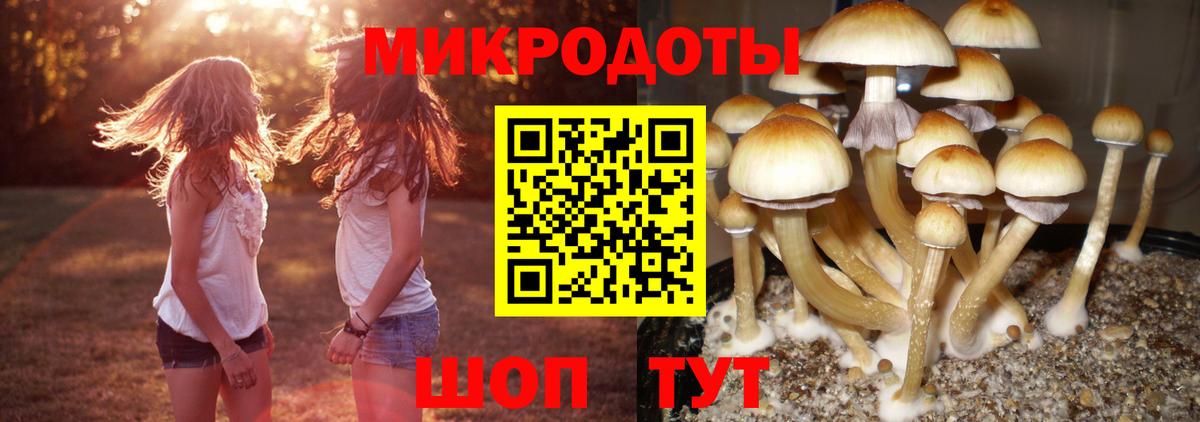 Псилоцибиновые грибы GOLDEN TEACHER Туймазы